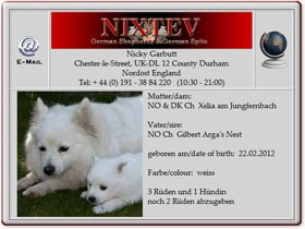 Mittelspitzwelpen-Nixtev-2012.05.03 Mittelspitzwelpen-Nixtev-2012.05.03