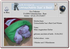 Mittelspitzwelpen-Untouchable-Sues-Best-2012.04.26 Mittelspitzwelpen-Untouchable-Sues-Best-2012.04.26