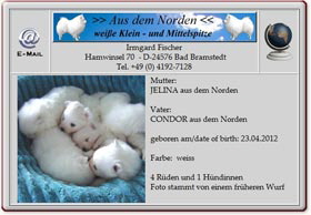 Mittelspitzwelpen-aus-dem-Norden-2012.04.23 Mittelspitzwelpen-aus-dem-Norden-2012.04.23