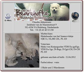 Mittelspitzwelpen-van-het-Bearehöfke-2012.04.22 Mittelspitzwelpen-van-het-Bearehöfke-2012.04.22