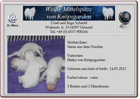 Mittelspitzwelpen-von-Knöpsgarden-2012.05.16 Mittelspitzwelpen-von-Knöpsgarden-2012.05.16