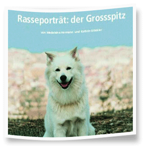 Rasseportrait-Grossspitz Rasseportrait-Grossspitz