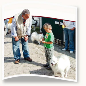 Sch�nster-Spitz-und-bester-Freund