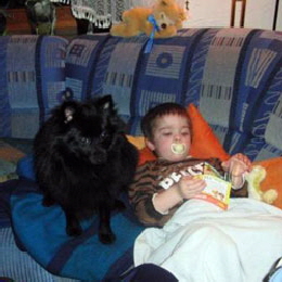 Spitz-mit-Kind-auf-Couch