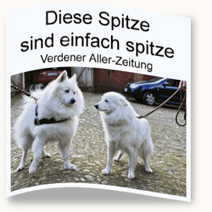 Verdener-Aller-Zeitung