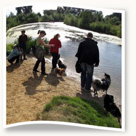 Viersen-2009