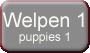 Welpen1-dkgrau