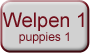 Welpen1-hellgrau
