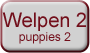 Welpen2-hellgrau