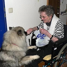 Wolfsspitz-beim-Altenheimbesuch-01