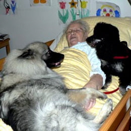 Wolfsspitz-beim-Altenheimbesuch-02