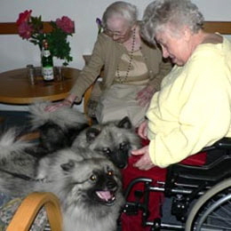 Wolfsspitz-beim-Altenheimbesuch-03