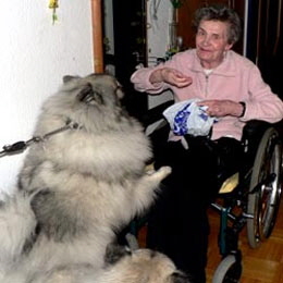 Wolfsspitz-beim-Altenheimbesuch-05