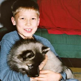 Wolfsspitz-mit-Max