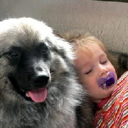 Wolfsspitz-mit-Nia-01