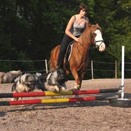 Wolfsspitze-springen-mit-Pony-�ber-die-H�rde