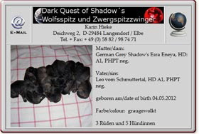 Wolfsspitzwelpen-Dark-Quest-of-Shadows-2012.05.07 Wolfsspitzwelpen-Dark-Quest-of-Shadows-2012.05.07