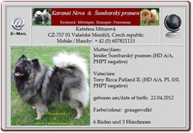 Wolfsspitzwelpen-Sumbarsky-prammen-2012.04.24 Wolfsspitzwelpen-Sumbarsky-prammen-2012.04.24