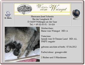 Wolfsspitzwelpen-vom-Weingut-2012.04.08 Wolfsspitzwelpen-vom-Weingut-2012.04.08