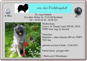 Wolfsspitzwelpen-von-der-Frühlingsluft-2012.04.23 Wolfsspitzwelpen-von-der-Frühlingsluft-2012.04.23