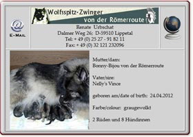 Wolfsspitzwelpen-von-der-Römerroute-2012.04.26 Wolfsspitzwelpen-von-der-Römerroute-2012.04.26