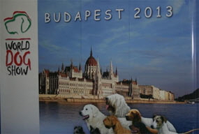 Worlddog 2013