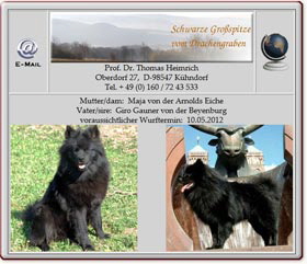 Wurfankündigung-Grosspitz-vom-Drachengraben-2012.05.07 Wurfankündigung-Grosspitz-vom-Drachengraben-2012.05.07