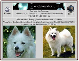 Wurfankündigung-Grosspitze-wittekeeshondnl-Romy-2012.04.10 Wurfankündigung-Grosspitze-wittekeeshondnl-Romy-2012.04.10