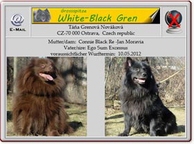 Wurfankündigung-Grossspitz-White-Black-Gren-2012.05.08 Wurfankündigung-Grossspitz-White-Black-Gren-2012.05.08