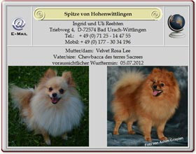 Wurfankündigung-Kleinspitz-von-Hohenwittlingen-2012.05.10 Wurfankündigung-Kleinspitz-von-Hohenwittlingen-2012.05.10