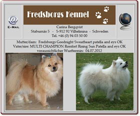 Wurfankündigung-Mittelspitz-Fredsborgskennel-2012.05.05 Wurfankündigung-Mittelspitz-Fredsborgskennel-2012.05.05