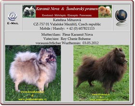 Wurfankündigung-Mittelspitz-Karamit-Nova-2012.04.24 Wurfankündigung-Mittelspitz-Karamit-Nova-2012.04.24