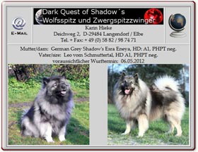 Wurfankündigung-Wolfsspitze-Dark-Quest-of-Shadows-2012.04.23 Wurfankündigung-Wolfsspitze-Dark-Quest-of-Shadows-2012.04.23