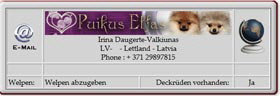 Zwergspitzzüchter-Puikus-Elfas-2012.04.16 Zwergspitzzüchter-Puikus-Elfas-2012.04.16
