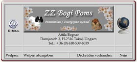 Zwergspitzzüchter-ZZ-Bogi-Poms-2012.04.20 Zwergspitzzüchter-ZZ-Bogi-Poms-2012.04.20