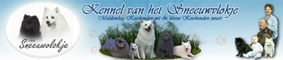 banner van het sneeuwvlokje