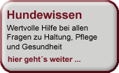 nav_hundewissen