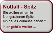 nav_notfall-spitz