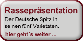 nav_rassepraesentation