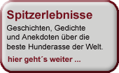 nav_spitzerlebnisse