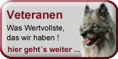 nav_veteranen