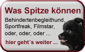 nav_was_spitze_koennen