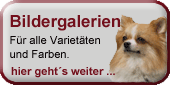nav_bilder