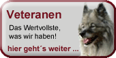 nav_veteranen