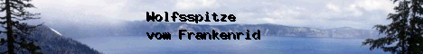 Wolfsspitz-Zwinger vom Frankenrid