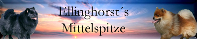 Ellinghorst`s Mittelspitze