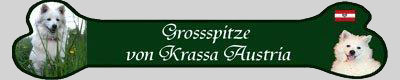 Grossspitze von Krassa Austria