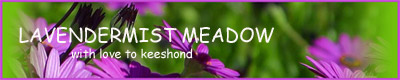 Lavendermist Meadow