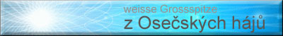 Weisse Großspitze z Osecských háju