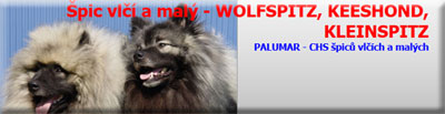 Wolfs- und Kleinspitze PALUMAR FCI